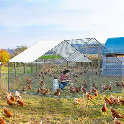 RedBarn walk-in chicken run for 10-12 hens hero view
