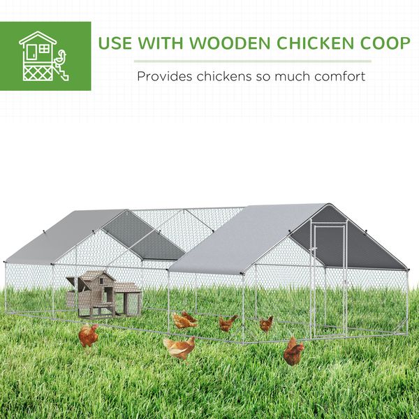Homestead backyard use and flock access detail