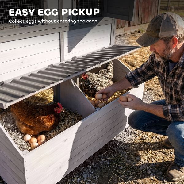 Sentinel chicken coop with run for 8-10 hens hero view