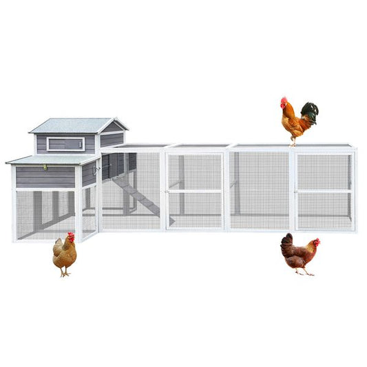 Forge chicken coop with run for 10-12 hens hero view