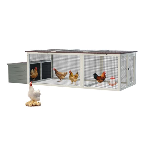 Pebble walk-in wooden chicken coop for 3-5 hens hero view