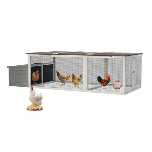 Pebble walk-in wooden chicken coop for 3-5 hens hero view