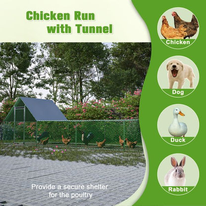 Ridgeline walk-in chicken run for 12-15 hens hero view