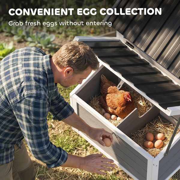 Hatchling chicken coop with run for 2-3 hens hero view
