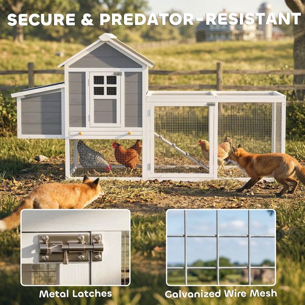 Hatchling backyard use and flock access detail