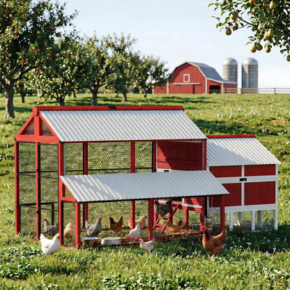 Apex walk-in wooden chicken coop footprint and dimensions view