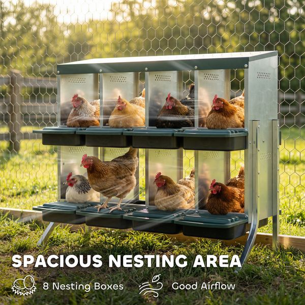 Brood chicken coop accessory side view showing galvanized 8-compartment nest setup for 16-32 hens