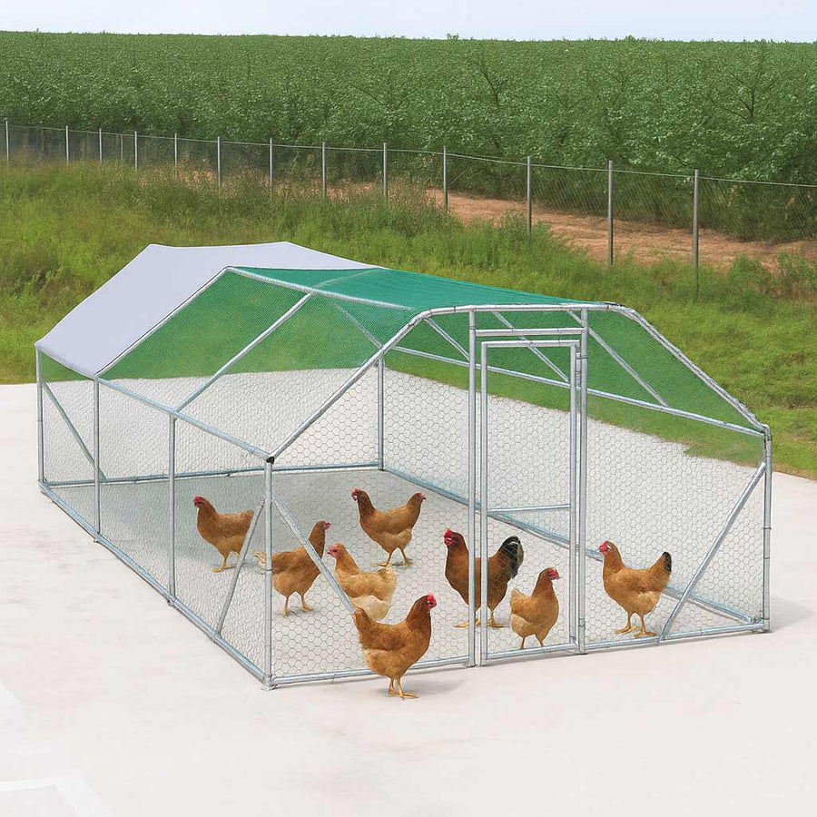 Citadel Commercial Chicken Run for 15-25 Hens - 10 x 20 ft for 15-25 hens