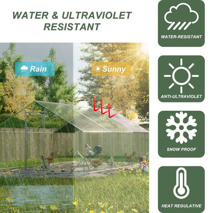 Ironwood backyard use and flock access detail