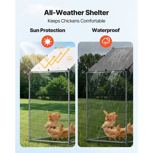Scout backyard use and flock access detail