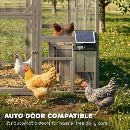 Cascade walk-in wooden chicken coop for 8-10 hens hero view