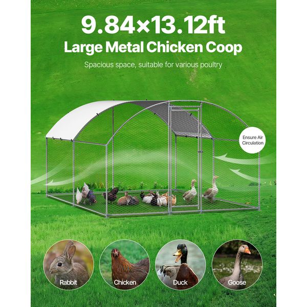 Summit walk-in chicken run for 10-12 hens hero view