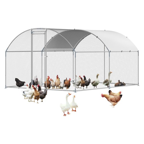 Summit backyard use and flock access detail